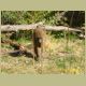 kczoo_010.jpg