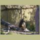 kczoo_015.jpg