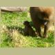 kczoo_020.jpg