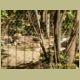 kczoo_025.jpg