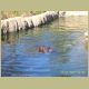 kczoo_043.jpg