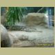 kczoo_049.jpg