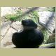 kczoo_082.jpg