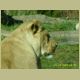 kczoo_114.jpg