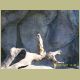 kczoo_118.jpg