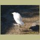 kczoo_137.jpg