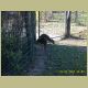 kczoo_155.jpg
