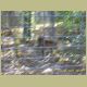 kczoo_169.jpg
