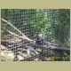 kczoo_177.jpg