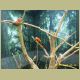 kczoo_223.jpg