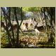 kczoo_310.jpg