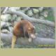 kczoo_320.jpg