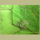 kczoo_327.jpg
