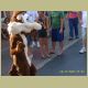 six_flags_068.jpg