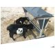 willfarmday_025.jpg